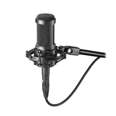 Микрофон AUDIO-TECHNICA AT2050