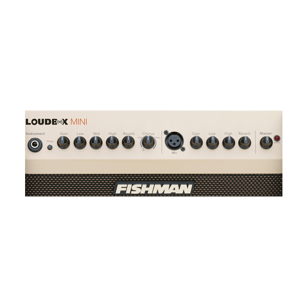 Гитарный комбик FISHMAN PRO-LBX-EX5