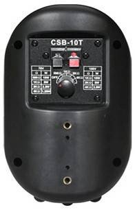 Акустическая система SHOW CSB10T (BK)