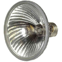 Лампа INVOLIGHT PAR30 E27