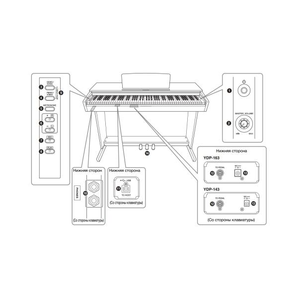 Цифровое пианино YAMAHA YDP-143R