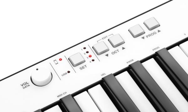 USB MIDI контроллер IK MULTIMEDIA IRIG KEYS PRO