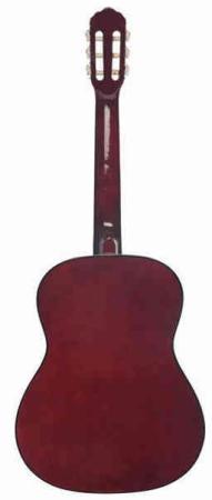 Классическая гитара TERRIS TC-3901A NA