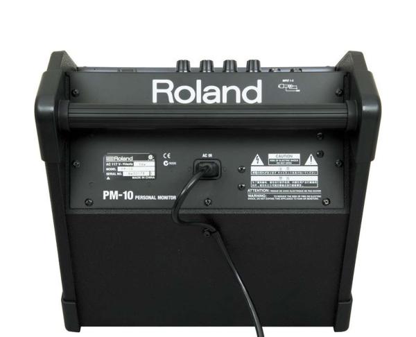 Активный монитор ROLAND PM-10